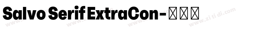 Salvo Serif ExtraCon字体转换